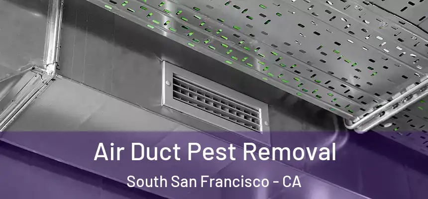 Air Duct Pest Removal South San Francisco - CA