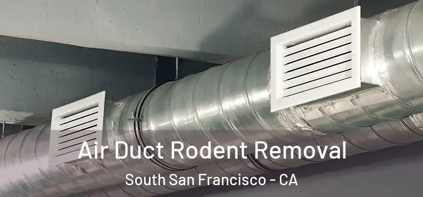 Air Duct Rodent Removal South San Francisco - CA