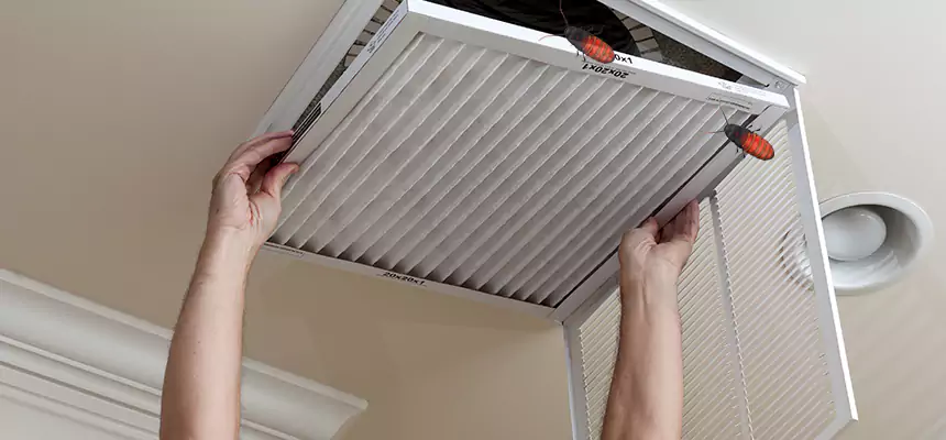Preventive Cockroach-Proofing for Ducts in South San Francisco