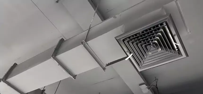 Our Rodent Droppings In Vents Services in South San Francisco, CA