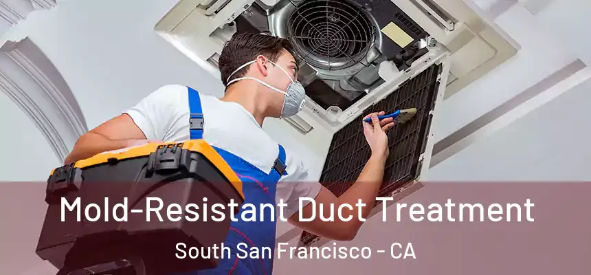Mold-Resistant Duct Treatment South San Francisco - CA
