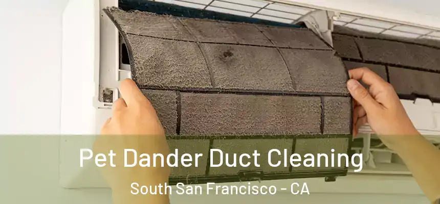 Pet Dander Duct Cleaning South San Francisco - CA