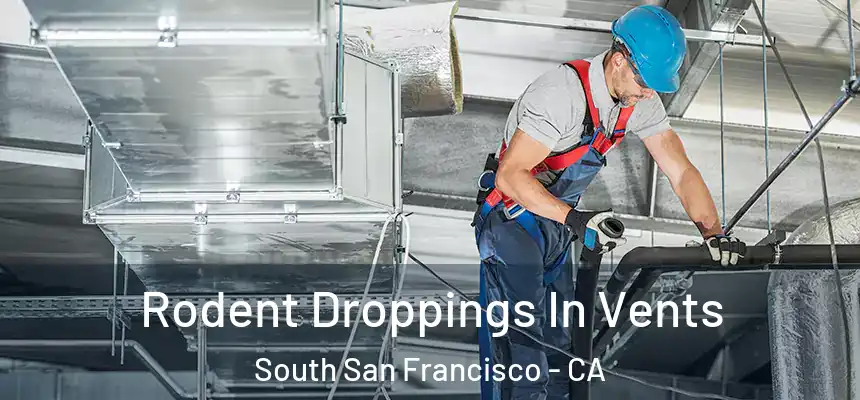  Rodent Droppings In Vents South San Francisco - CA