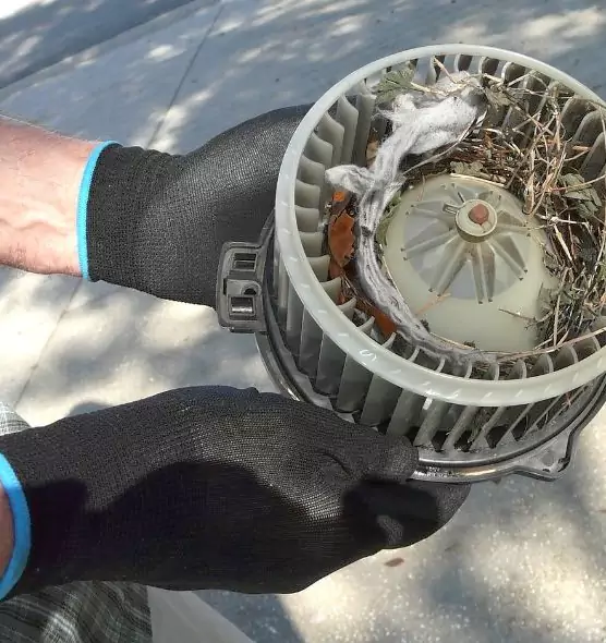 About Air Duct Mice Removal in South San Francisco, CA