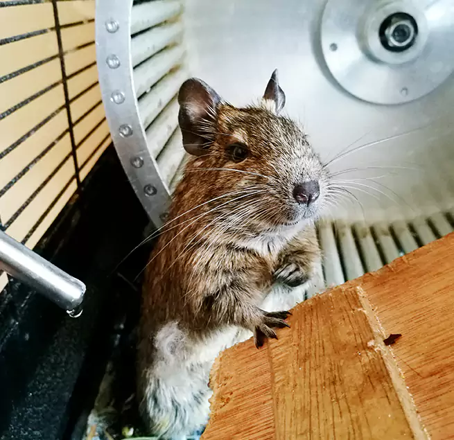 Why Homeowners & Businesses Trust Us South San Francisco, CA?