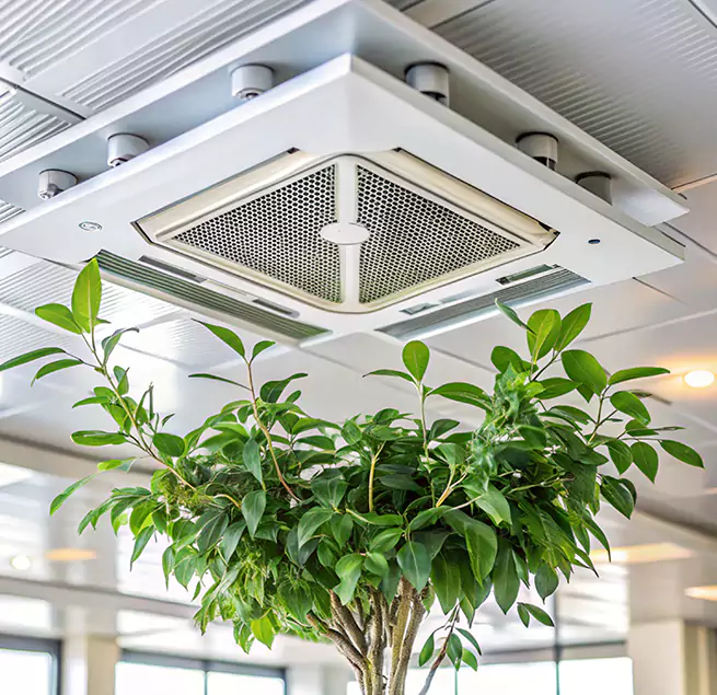 Why Homeowners & Businesses Trust Us in South San Francisco, CA?