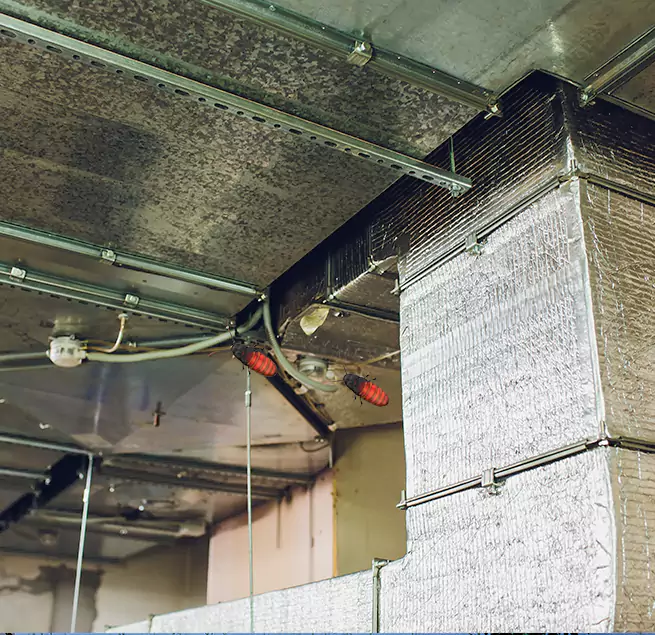 Why Homeowners & Businesses Trust Us South San Francisco, CA?